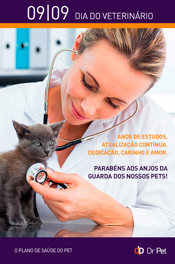 Dia do Médico Veterinário - Comportamento, Curiosidades, Datas comemorativas, Gatos