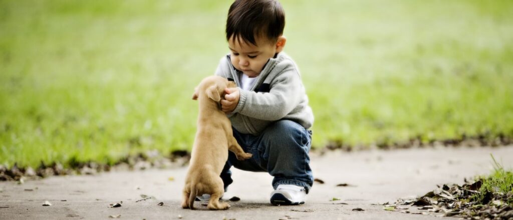 Os animais ajudam as crianças a se comportarem melhor - Comportamento