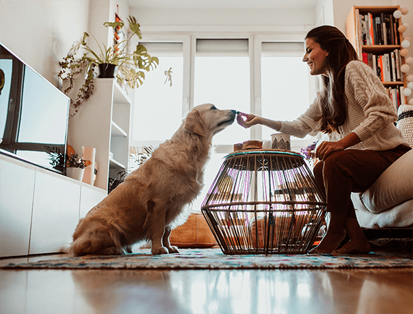 3 Dicas para ter um Cão Grande em Apartamento/Quintal Pequeno - Alimentação, Cães, Dicas, Saúde