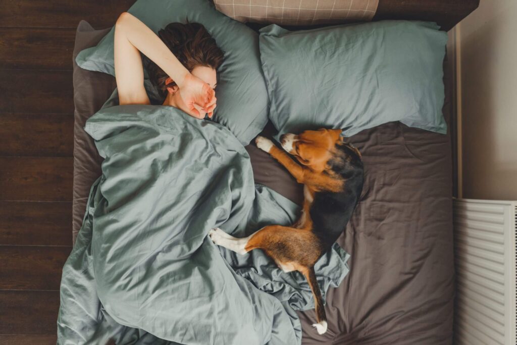 Dormir com seu pet faz bem para a saúde? - Comportamento, Curiosidades, Gatos, Saúde