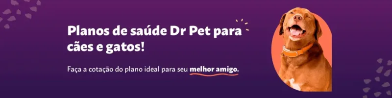 Como cuidar da saúde bucal do seu pet? - Saúde